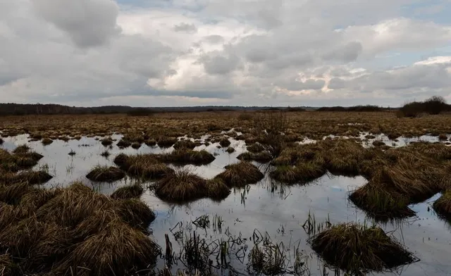 Mizhrichynskyi Regional Landscape Park
