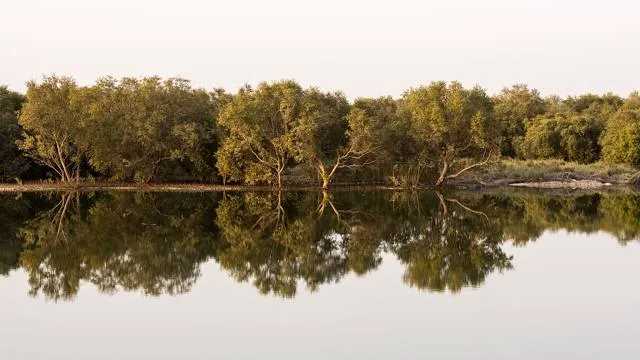 Kayaking Tour Abu Dhabi