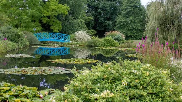 The Water Gardens of Carsac
