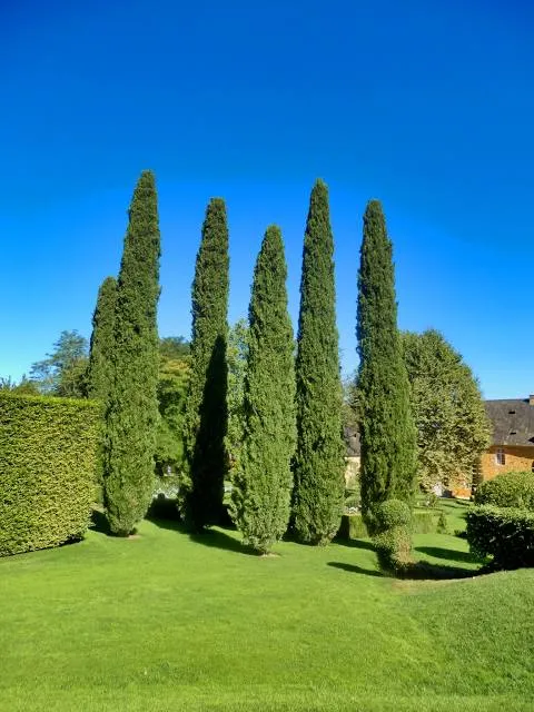 The Gardens of Eyrignac Manor
