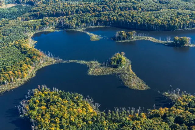 Müritz-Nationalpark