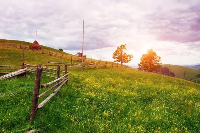 Heuneburg – Stadt Pyrene