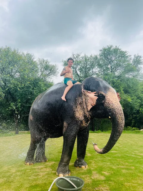 Elefriendride - The Best Elephant Ride in Jaipur