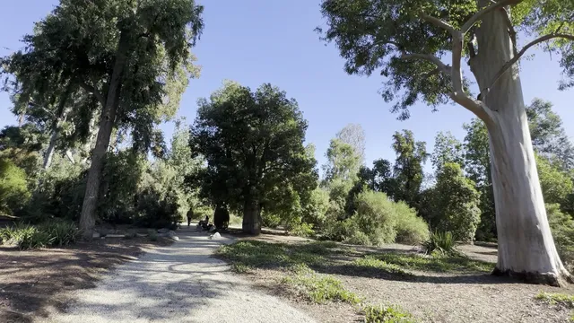 The Huntington Australian Garden