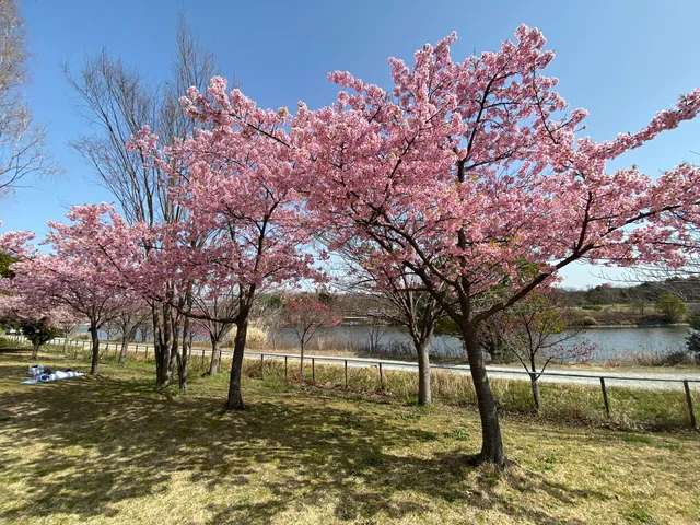 Todagawa Biological Park