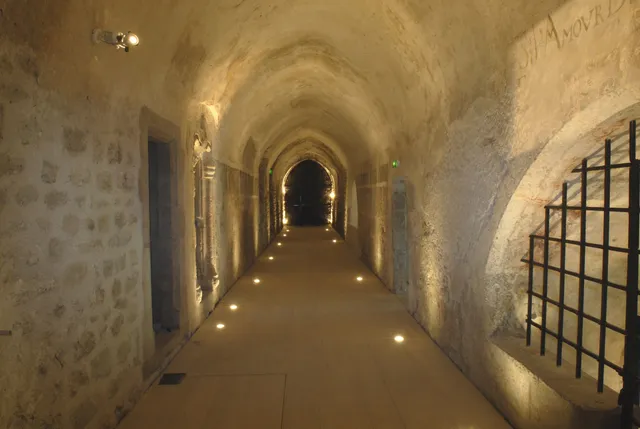 Musée de l'Abbaye / donations Guy Bardone - René Genis, Saint-Claude