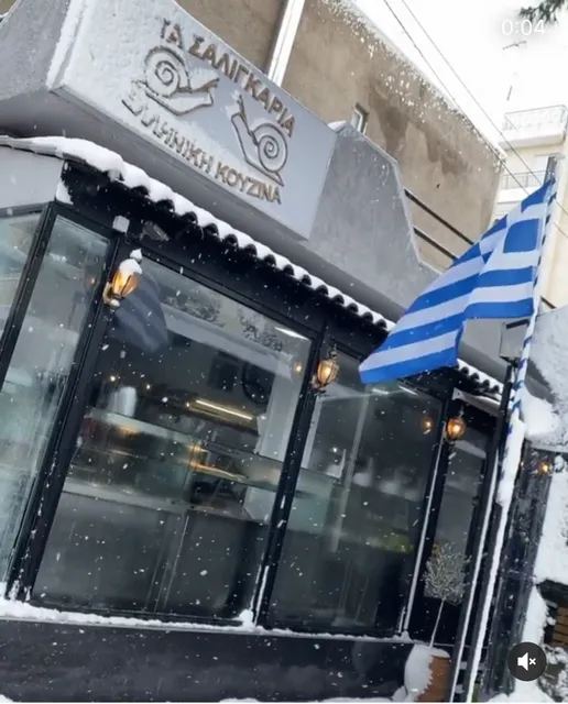 Τα Σαλιγκάρια