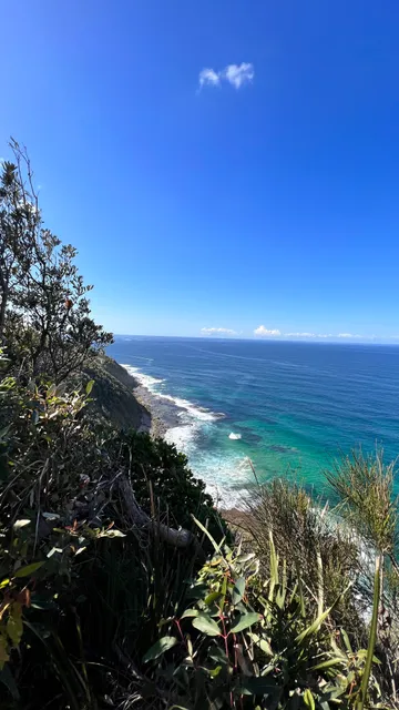 The Coast walking track
