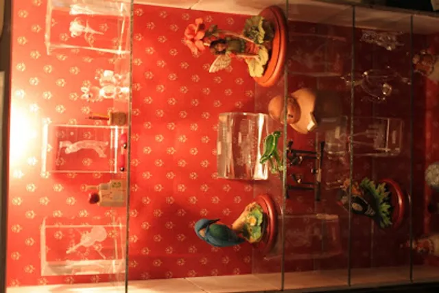 The Webster Groves Bookshop