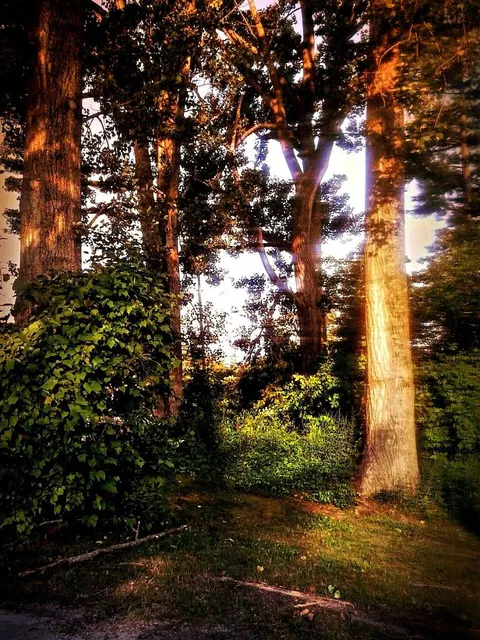 Wasaga Beach Provincial Park - Beach Area 1