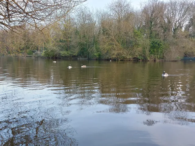 Maiden Erlegh Local Nature Reserve