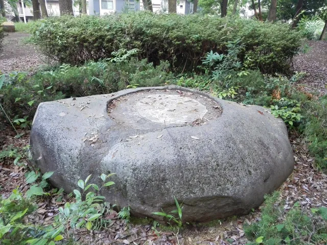 photo-3