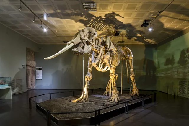 Kahramanmaraş Müze Müdürlüğü