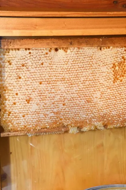 Literaturno-Khudozhestvennyy Muzey Mariny I Anastasii Tsvetayevykh