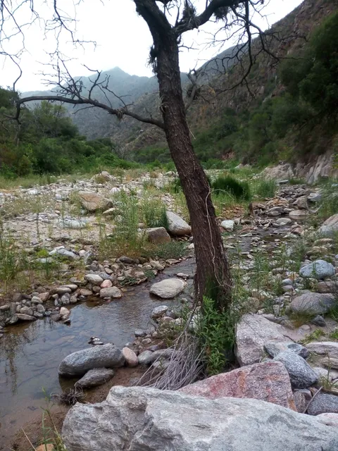 Reserva Quebrada de las Higueritas