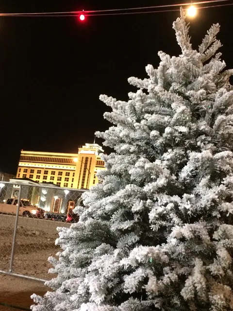 Rudolph's Christmas Trees on Silverado