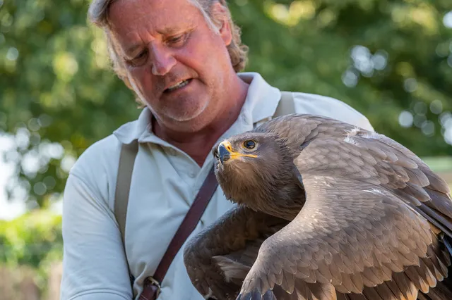 Falknerei Pierre Schmidt