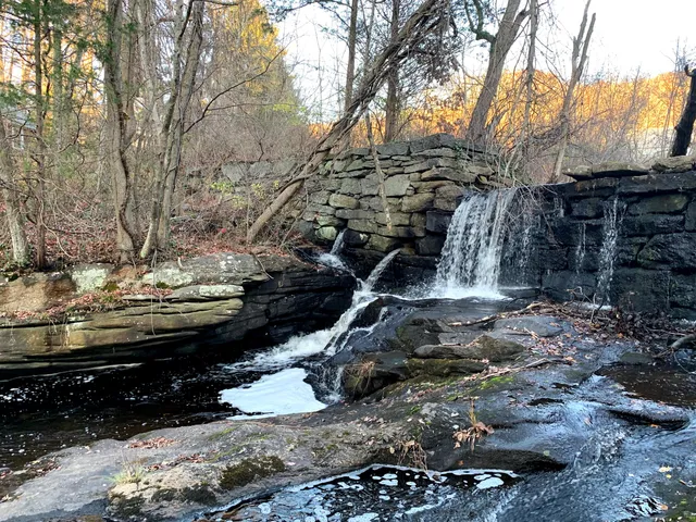 Higganum Reservoir State Park