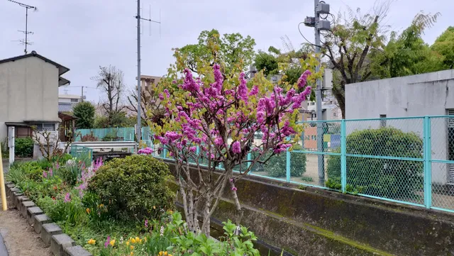photo-1