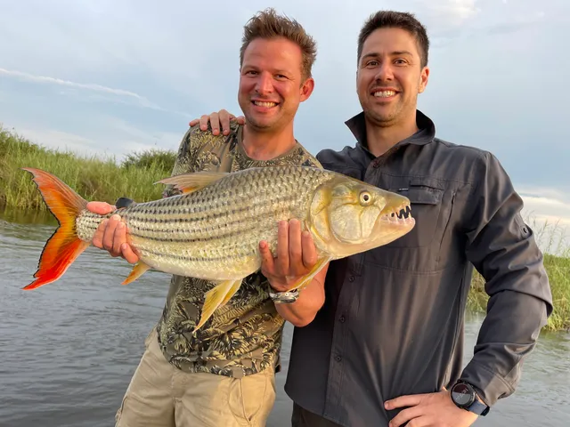 Shackletons Tiger Fishing Lodge