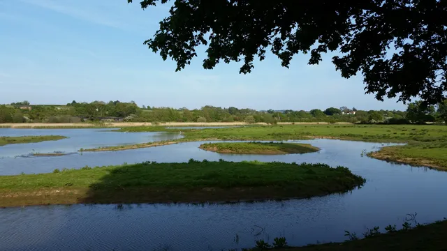 RSPB Bowling Green Marsh
