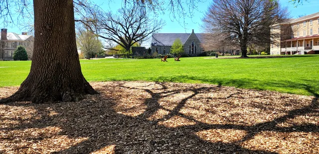 Haverford College Arboretum