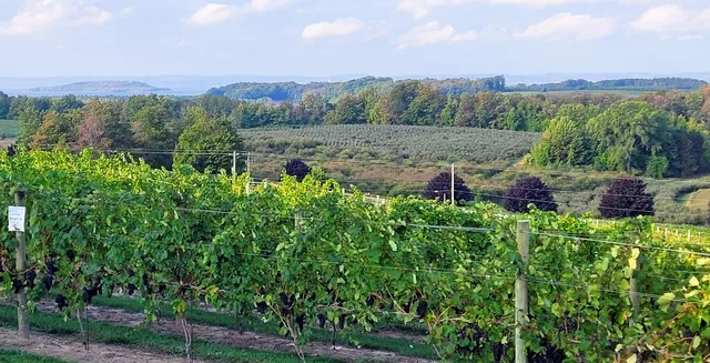 Old Mission Peninsula Wine Trail
