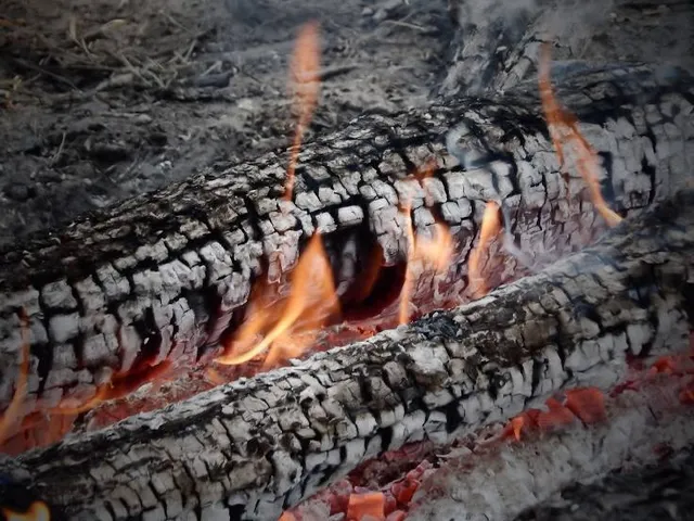 Rose Haven Heritage Garden