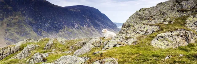 Friends Of The Lake District