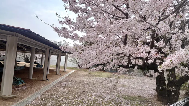 JA Bank Kuramoto Park