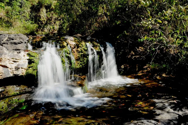 State Park Forest of Limoeiro