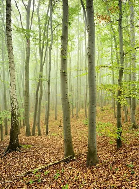 South Harz Karst Landscape Biosphere Reserve