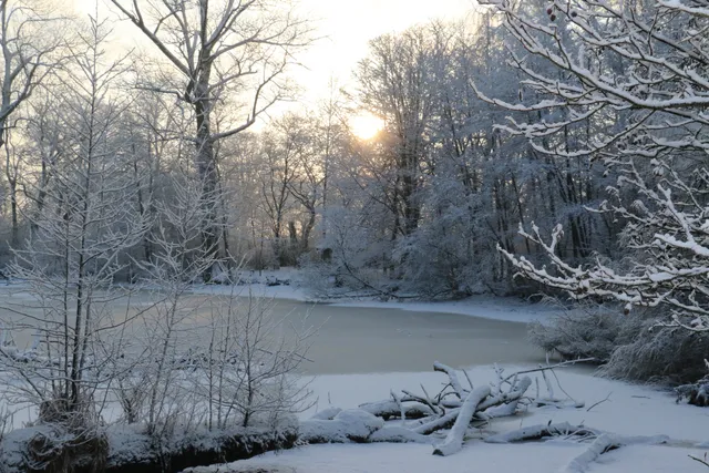 Verein Jordsand zum Schutz der Seevögel und der Natur e. V.