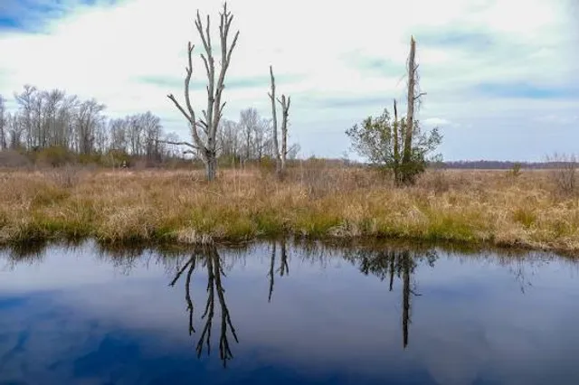 Pocosin Lakes National Wildlife Refuge