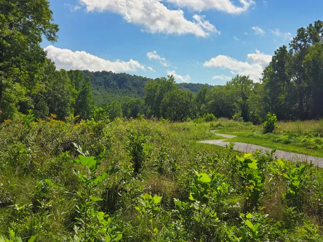 Shenandoah University River Campus at Cool Spring Battlefield