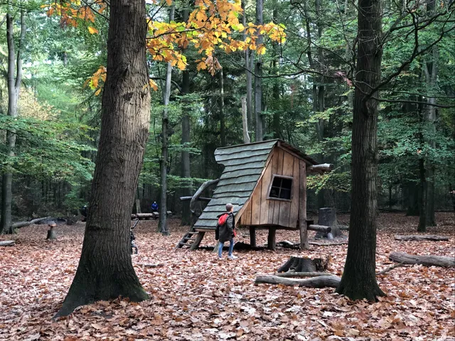 Speelbos Sallandse Heuvelrug