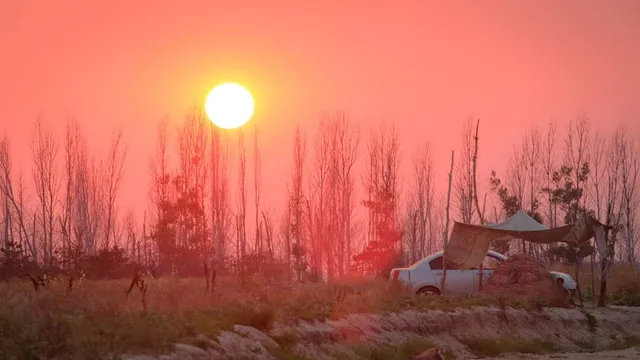 Al Ahsa National Park