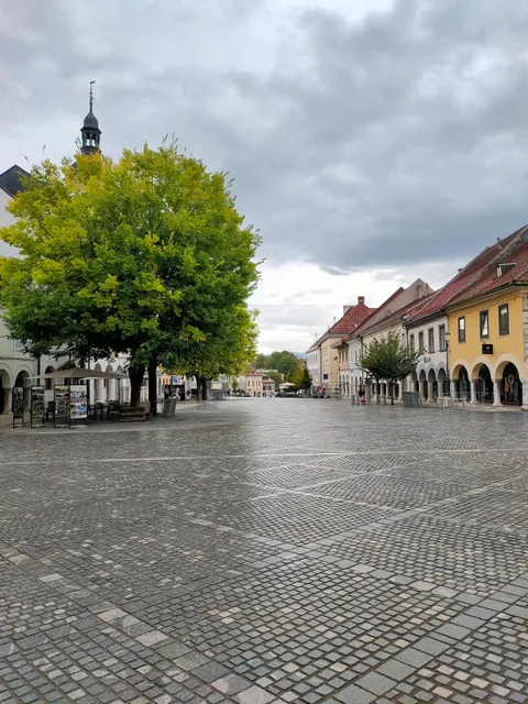 Turistično informacijski center Novo mesto