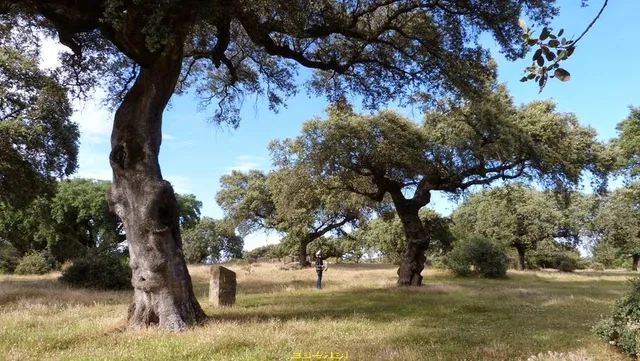 Parque Arqueológico Etnográfico Dehesa Boyal de Montehermoso
