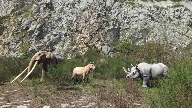 Parco Museo geologico Cava di Monticino