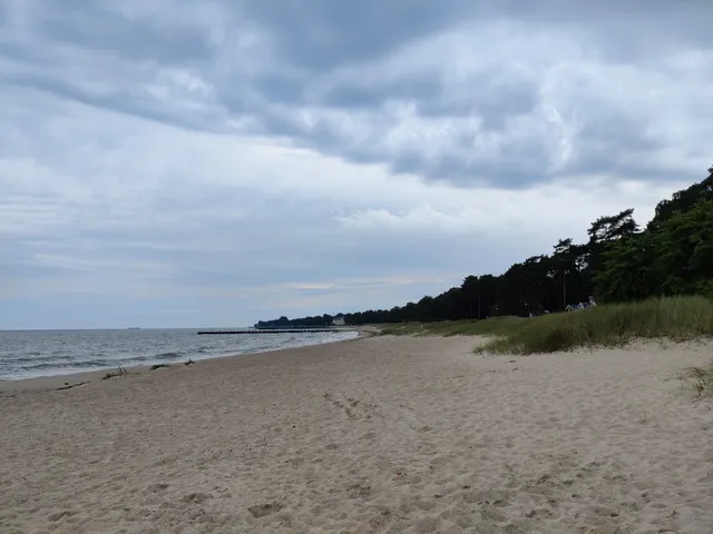 Sandskogens strand