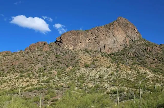 Picacho Peak State Park
