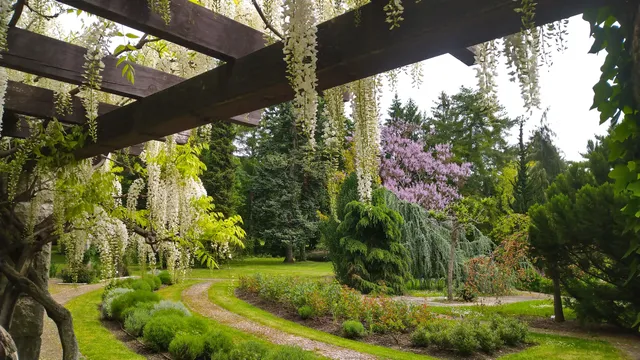 Comenius University Botanical Garden