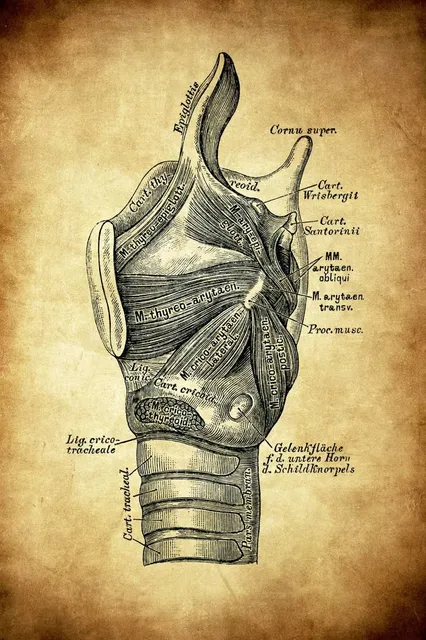 Egyptian Railway Museum