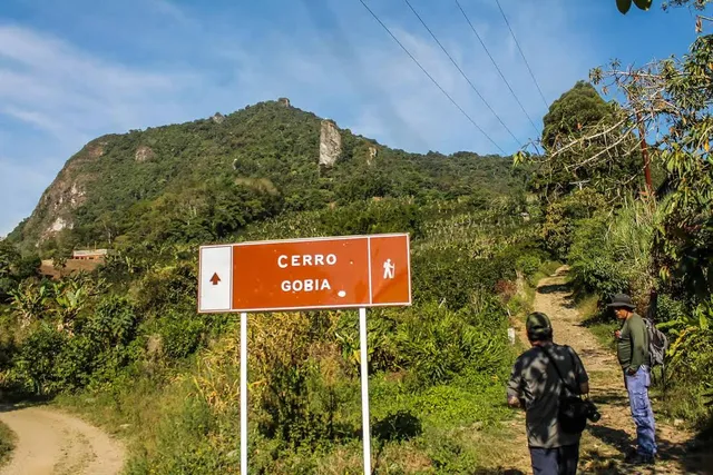 Cerro de Gobia