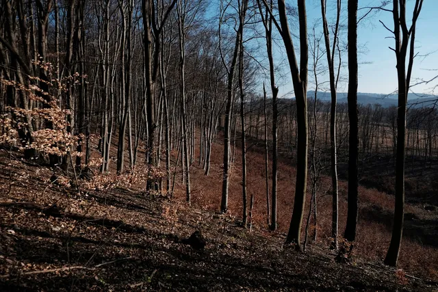 Kelet-Mecsek Landscape Protection Area