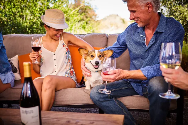 Domaine Artefact Vineyard & Winery