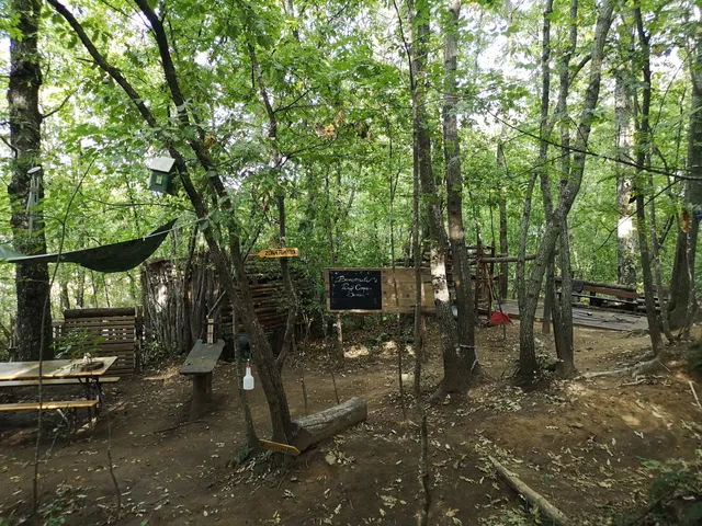 photo-3