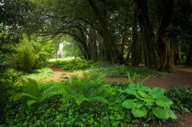 Lismore Castle Gardens