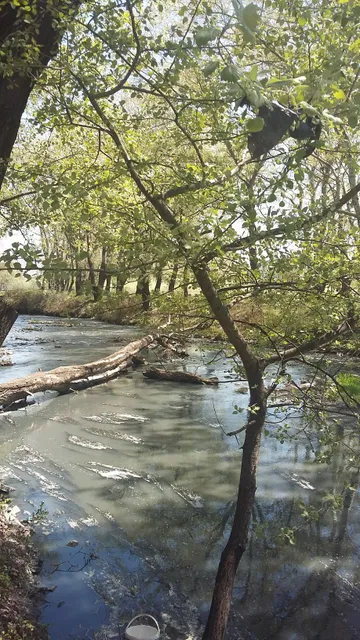 Eskişehir Odunpazarı Belediyesi Yunus Emre Parkı